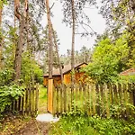 Spring Nature Stove Garden By Polandbnb *