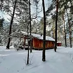Spring Nature Stove Garden By Polandbnb *