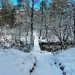 Spring Nature Stove Garden By Polandbnb Chalet *