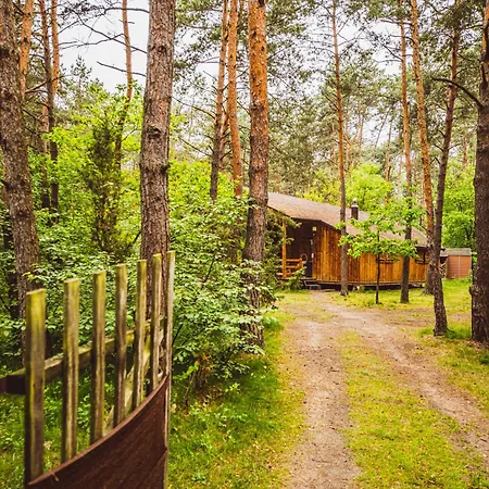 Autumn Nature Stove Garden By Polandbnb בקתה *