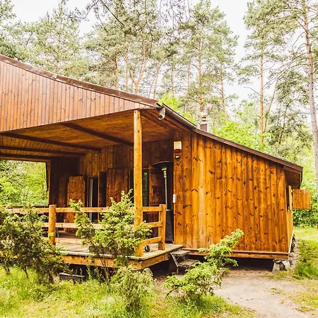 Autumn Nature Stove Garden By Polandbnb *