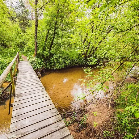 Autumn Nature Stove Garden By Polandbnb Maciejowice