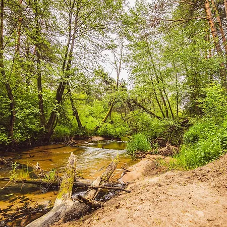 בקתה Autumn Nature Stove Garden By Polandbnb