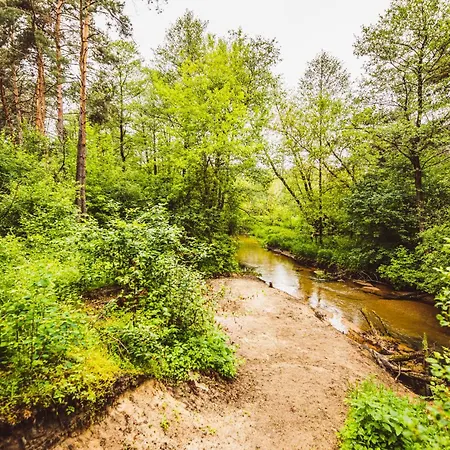 Autumn Nature Stove Garden By Polandbnb בקתה Maciejowice