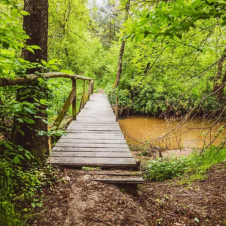 Autumn Nature Stove Garden By Polandbnb בקתה *