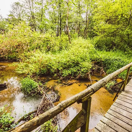 בקתה Autumn Nature Stove Garden By Polandbnb