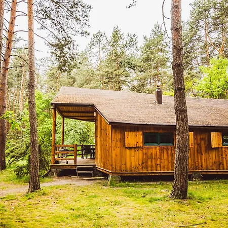 Autumn Nature Stove Garden By Polandbnb בקתה *