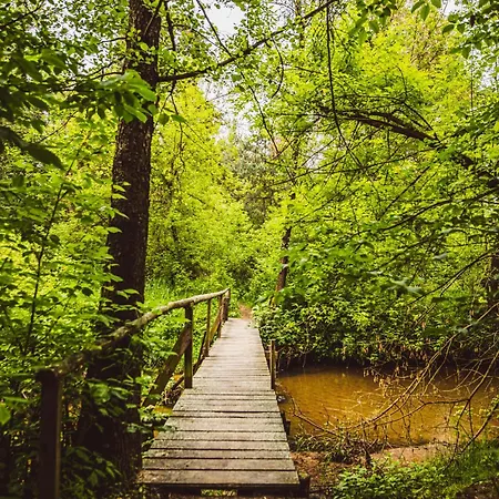 Autumn Nature Stove Garden By Polandbnb בקתה Maciejowice