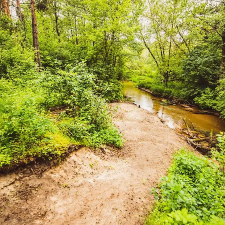 בקתה Autumn Nature Stove Garden By Polandbnb