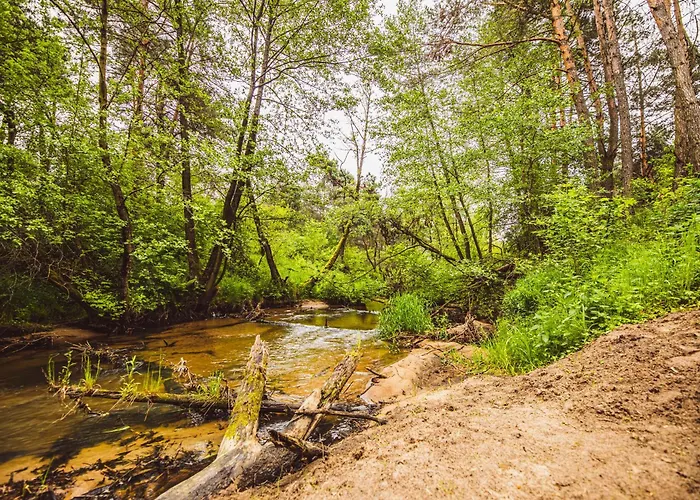 Chalet Autumn Nature Stove Garden By Polandbnb