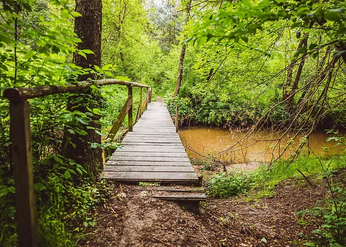 Autumn Nature Stove Garden By Polandbnb Chalet *