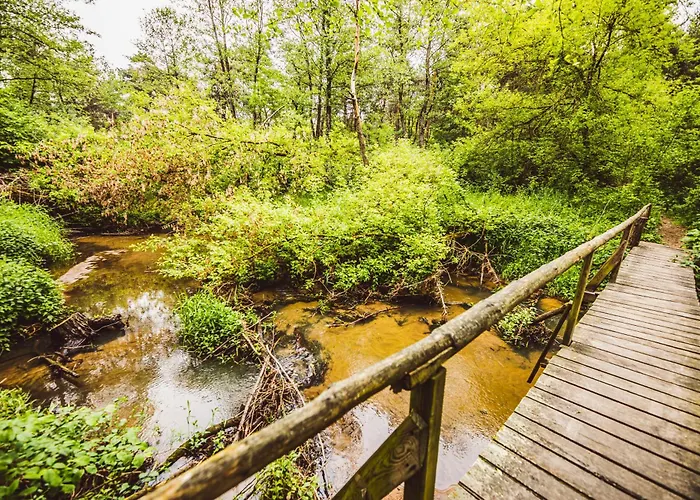 Chalet Autumn Nature Stove Garden By Polandbnb