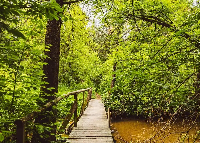 Autumn Nature Stove Garden By Polandbnb Chalet Maciejowice